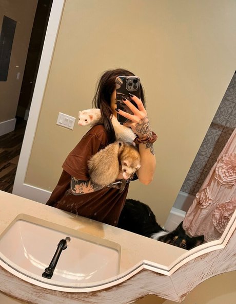 kiwisunsetvip hot star pics