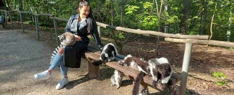 katzmin art star photos