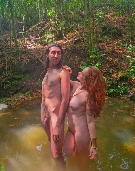 Fada Bardo E Fada profile image