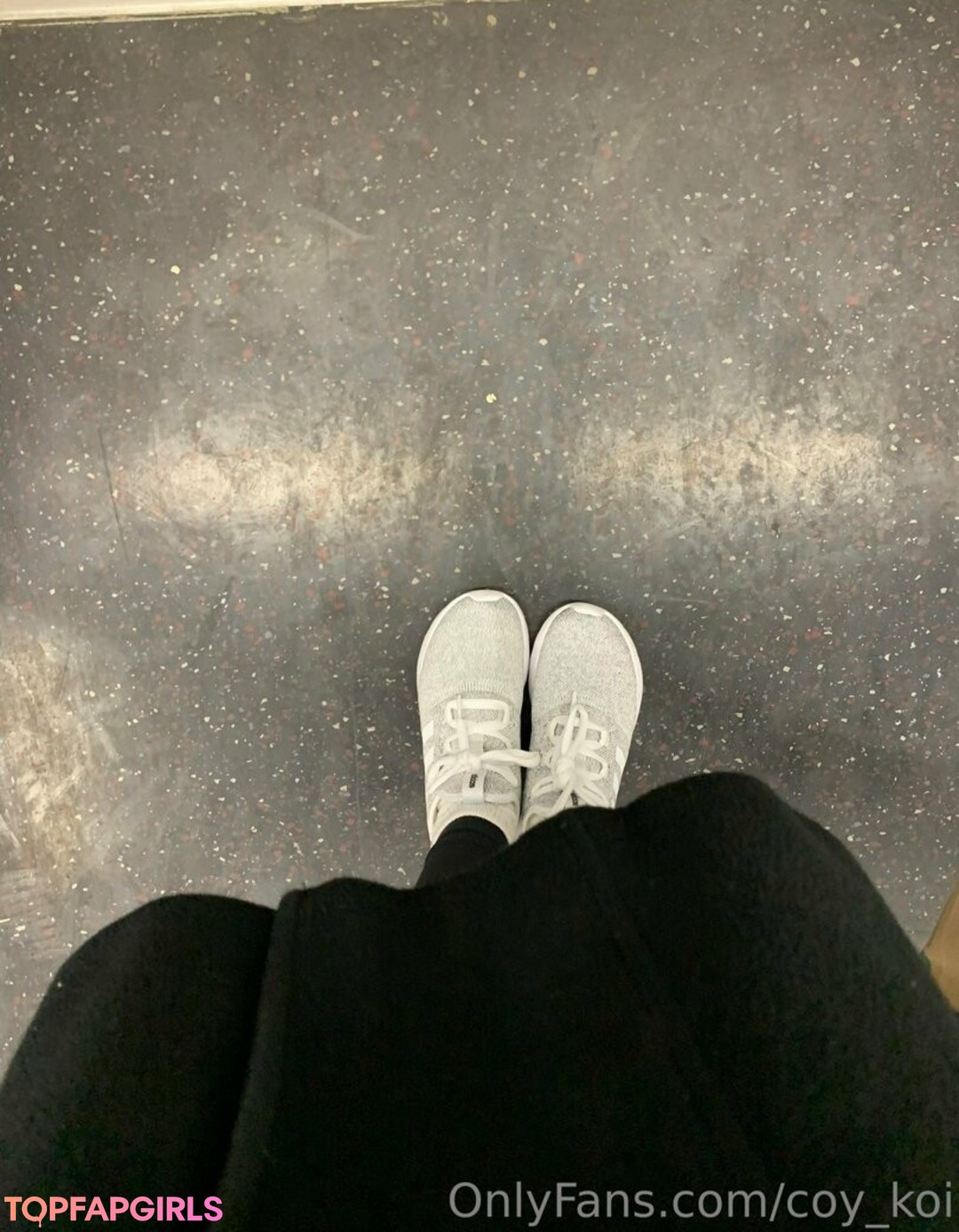 coy koi adult star images