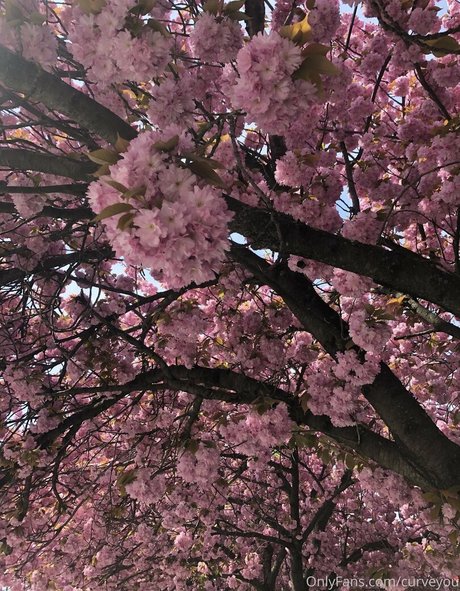 old lady onlyfans adult pictures