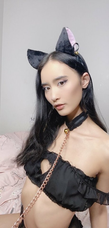 Tayszea star perfect img