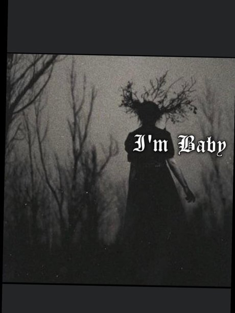 deadroses top profile image