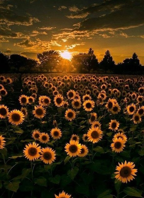 OhIThinkYouLikeMe star nice photo