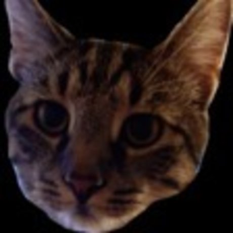 OnlyCats model nudes img