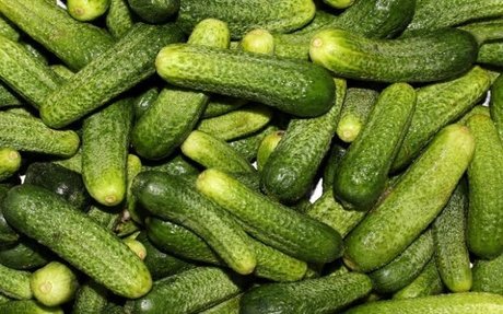 OnlyPickles star porn image