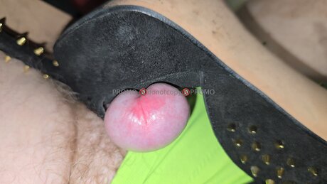 One Sweet One_ best star galleries