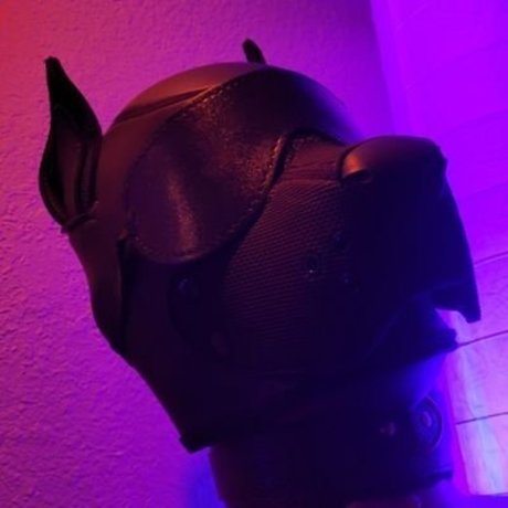 OneStretchyPup pretty pornstar gallery