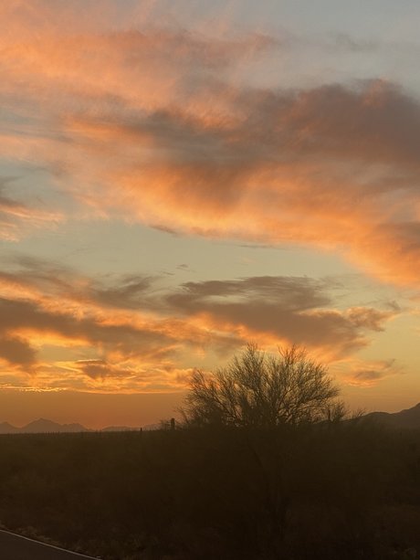 Oliver Quinn model pretty galleries