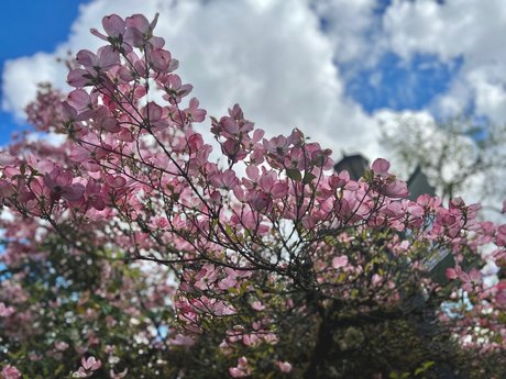 anal interracial onlyfans hd pics