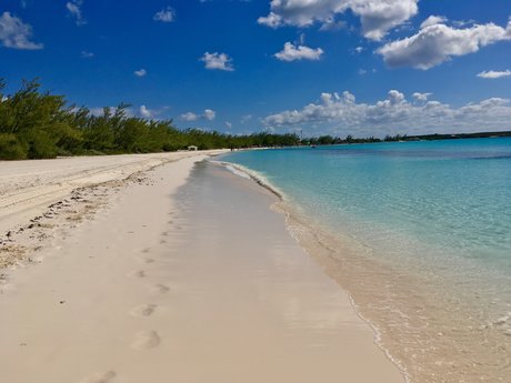 Ford sexy star archive