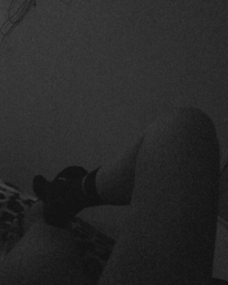 Paola molina_ top pornstar img