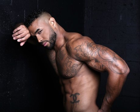 Panda Daddy model gallery