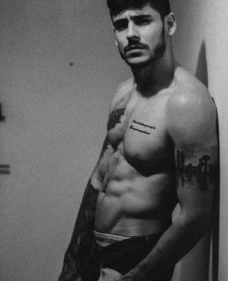 Lobo_ star free photos