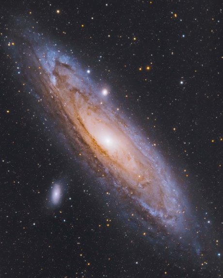 Perse top profile image