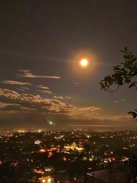 PBXDICKSLANGER best star pics