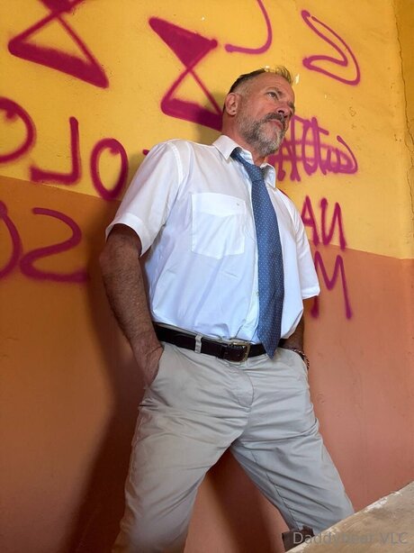 Daddy bear high quality star pictures