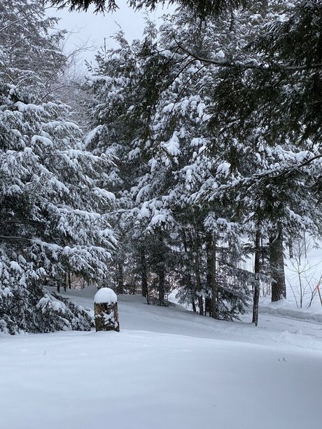 pantyhose footjob onlyfans art xxx img