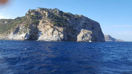 Philou Link star top archive