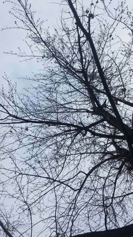 Daddy s Little Witch star best image