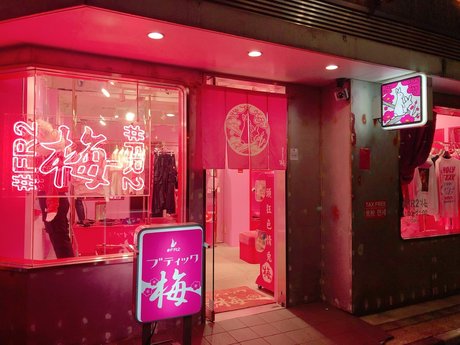 ponyrena star beautiful galleries