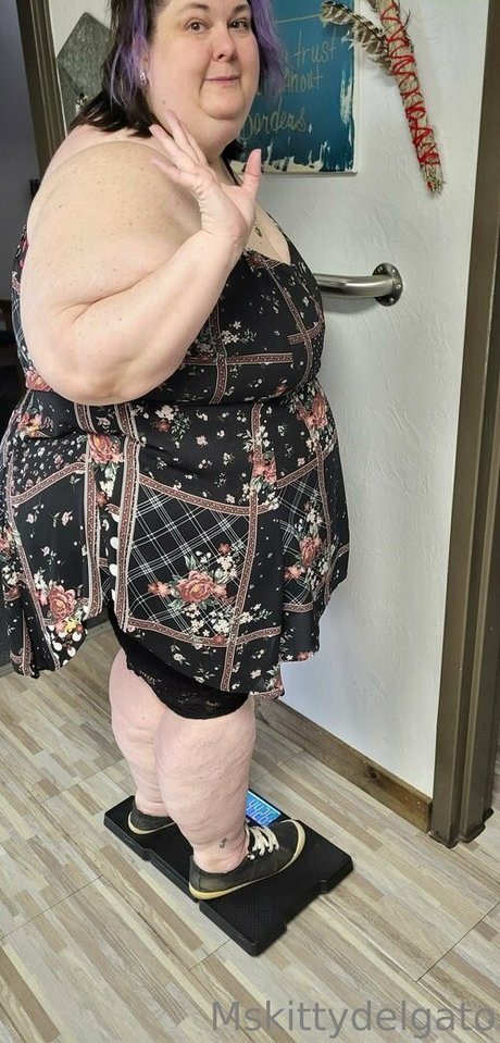 mskittydelgato pornographic actress photos