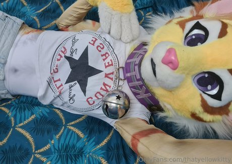 bbw latina onlyfans nice pictures