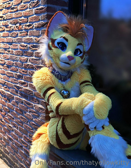 thatyellowkitty pretty star pic