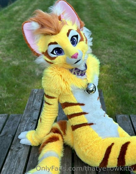 thatyellowkitty hot pornstar photos