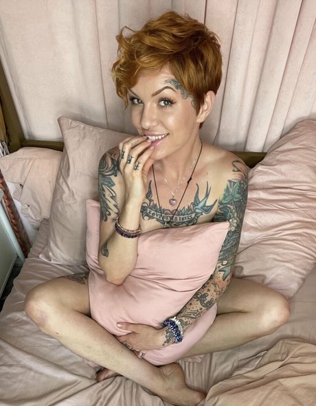 thedannygoldexperience star high quality picture