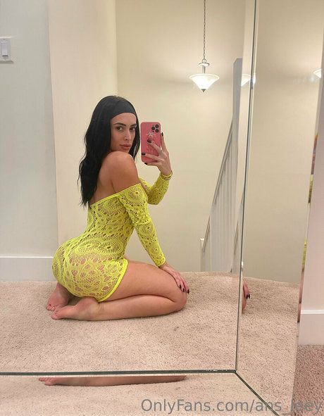 ans leey star gallery