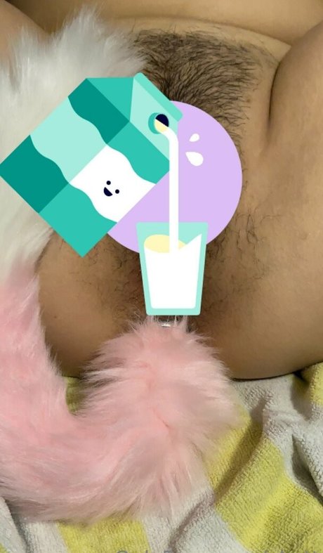 xkatt star porn galleries