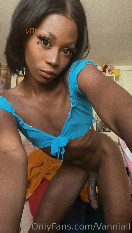 vanniallfree star art archive