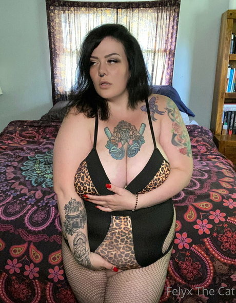 felyxfree nice pornstar pics