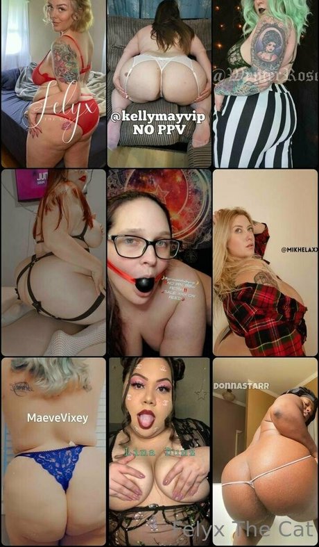 felyxfree profile image