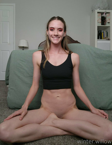 winter willow star pretty photos