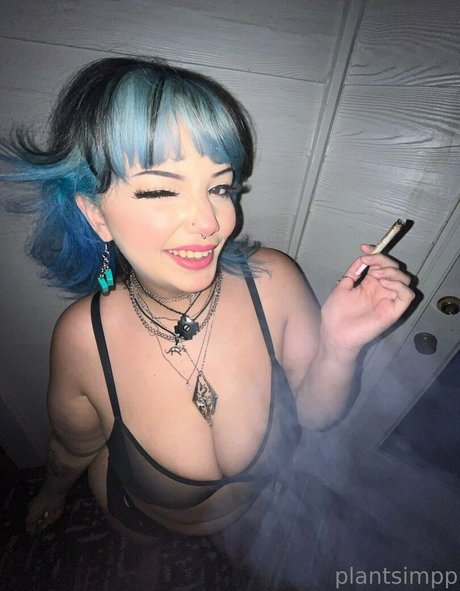 plantsimpp perfect model archive