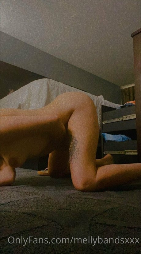 diablabonitax high quality pornstar photo