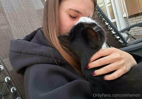 stellamori star perfect galleries