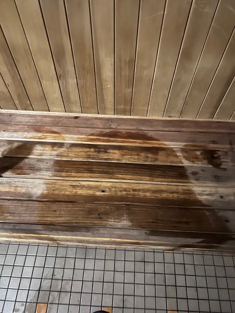 CZA nude model galleries