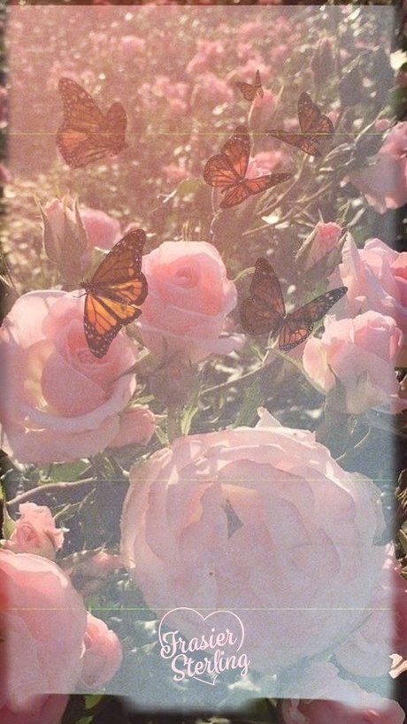 Your Favorite Wh re_ hd pornstar image