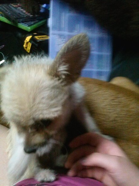 _Miss M rder_ nude actress image