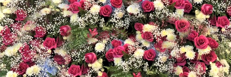 pussycat692 profile image