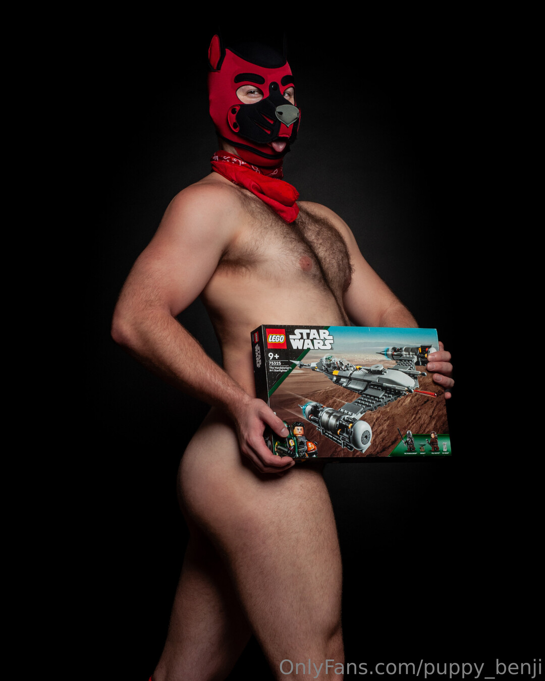 Pup Benji exclusive pornstar gallery
