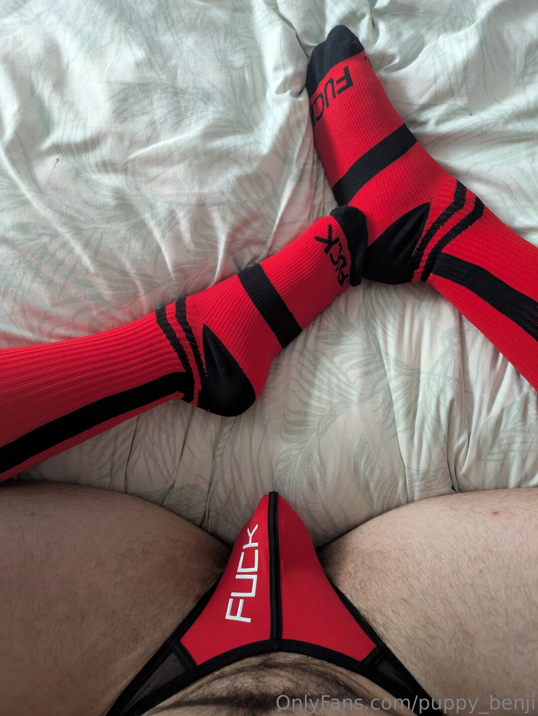 Pup Benji model pornographic gallery