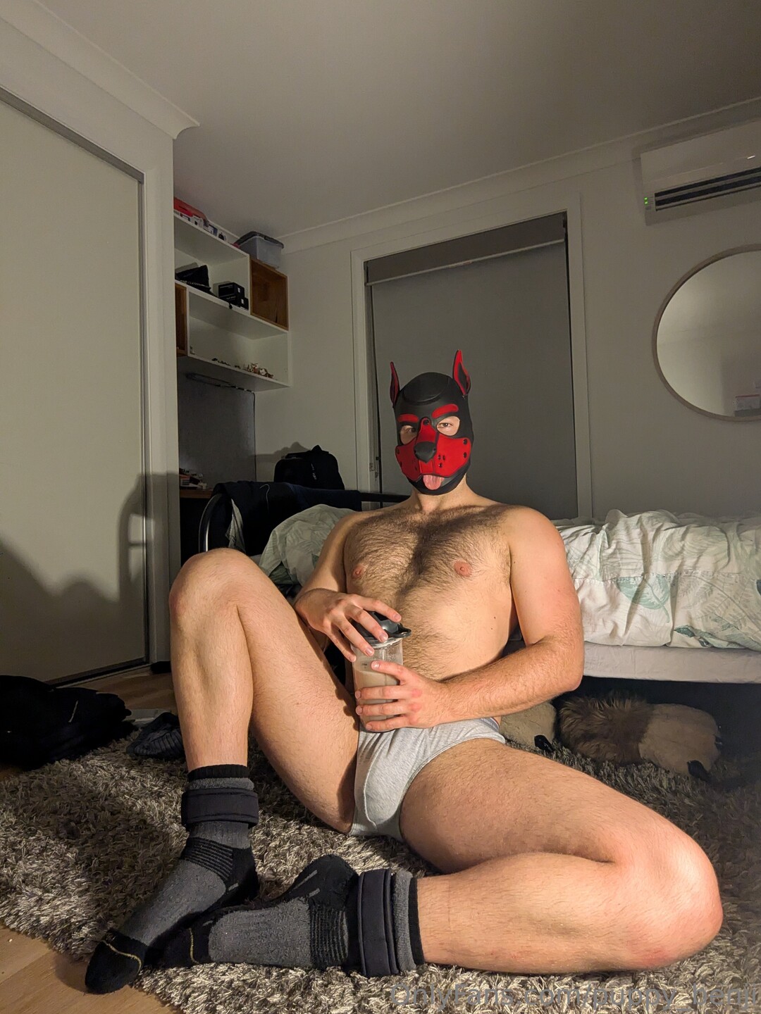 Pup Benji hd pornstar gallery