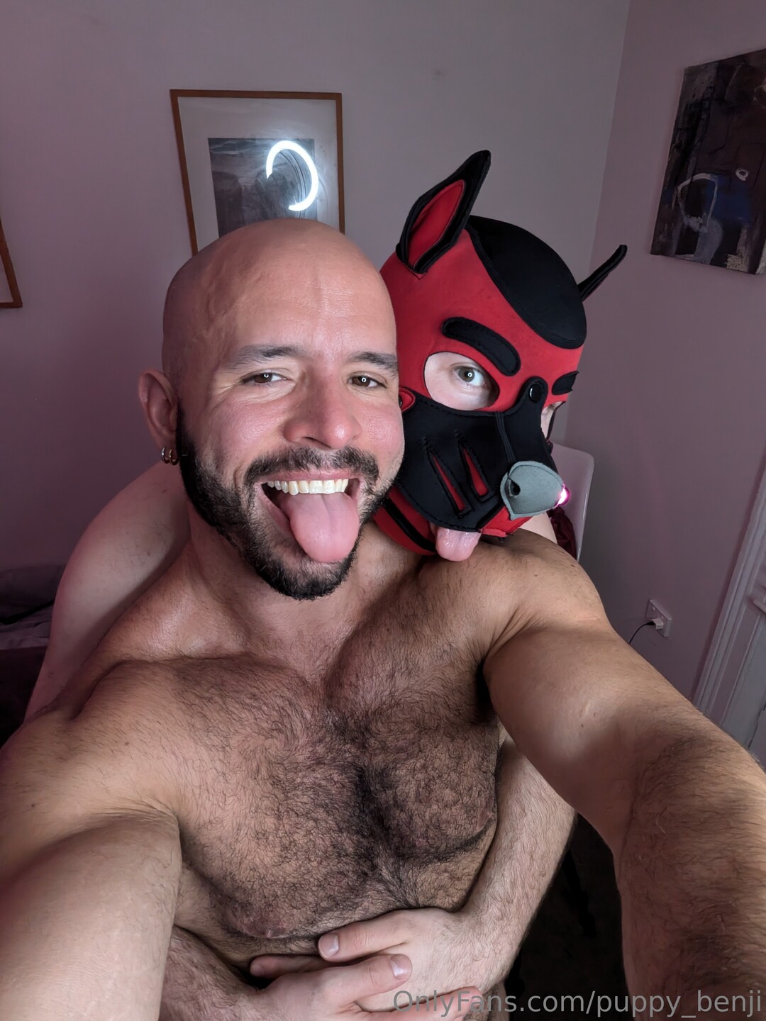 Pup Benji beautiful star img
