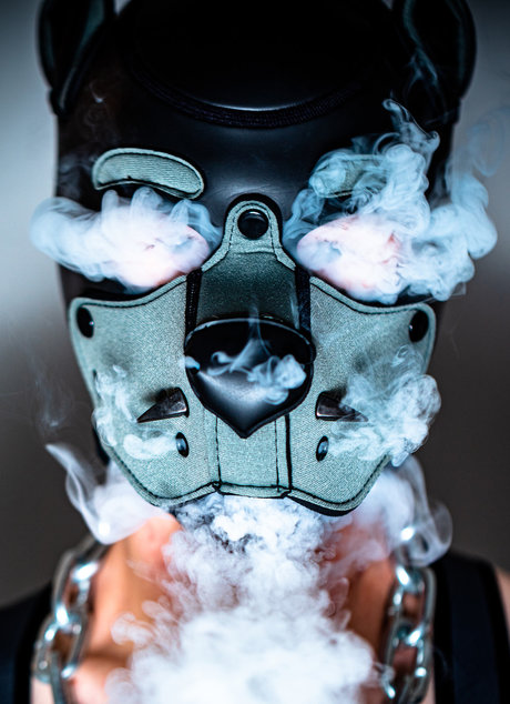 PupLeech pornographic model images