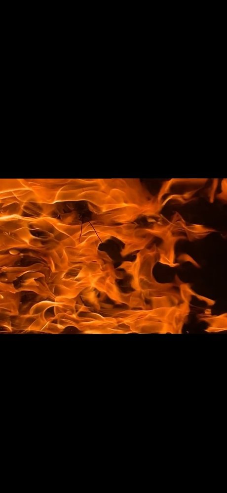 Ecchi Princess_ top star img