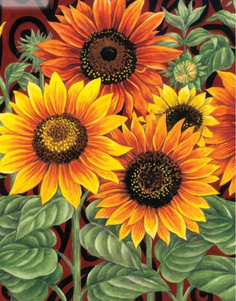 R my model best picture